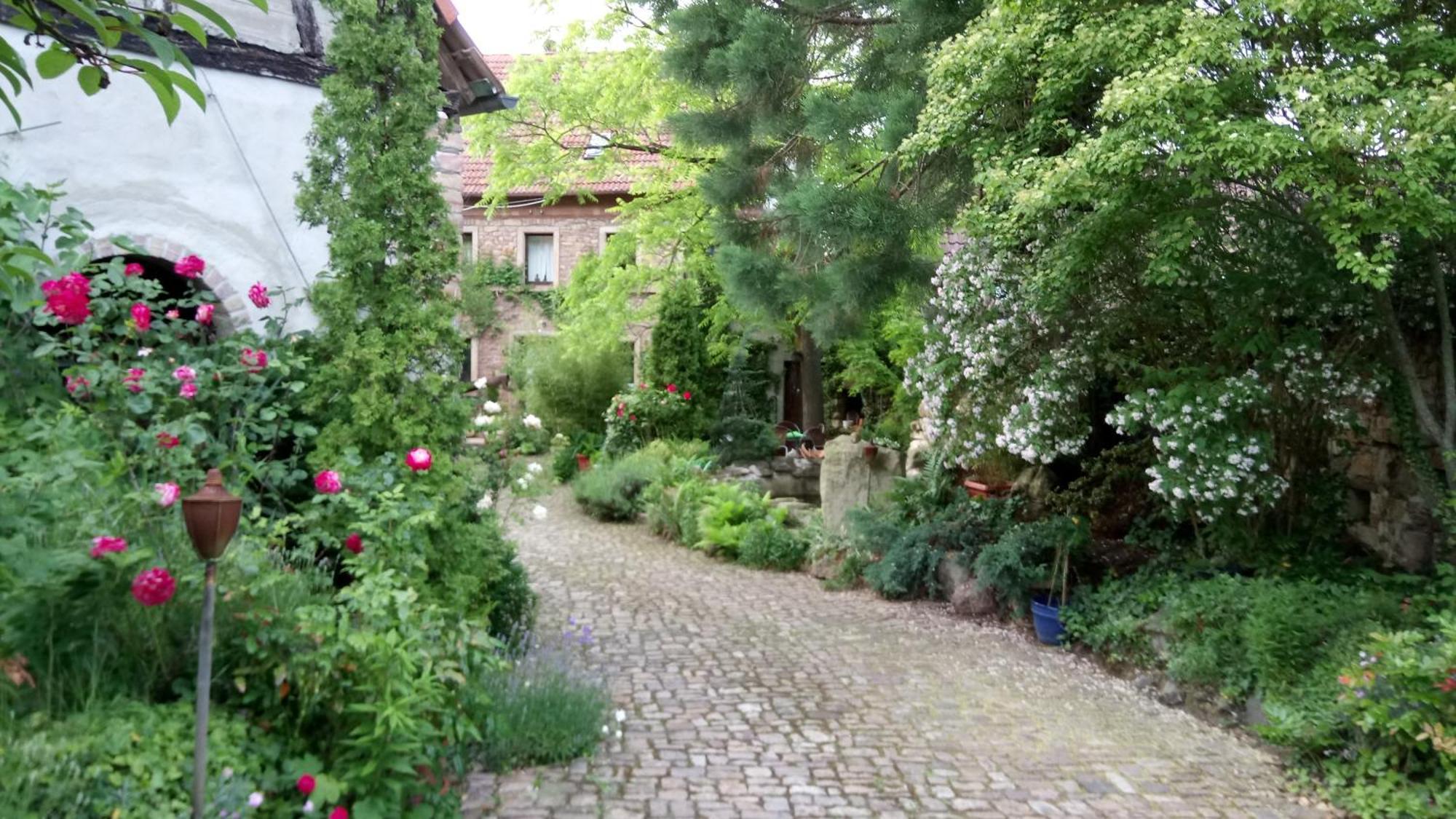 דירות Dannenfels "El Patio" Am Donnersberg מראה חיצוני תמונה