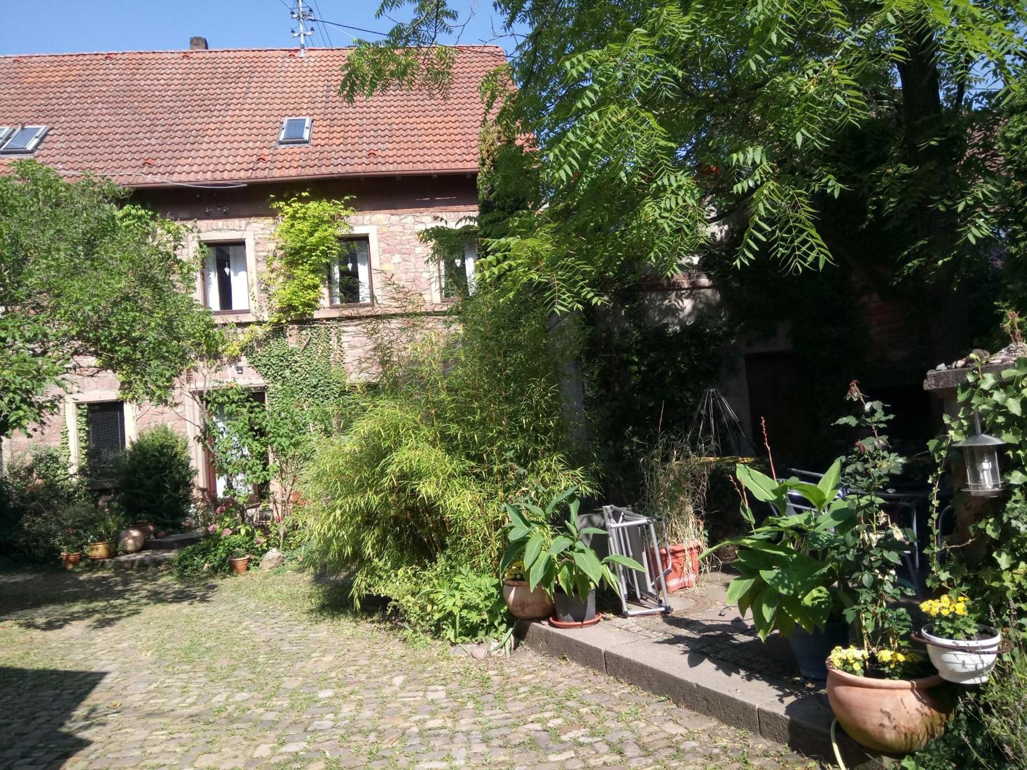דירות Dannenfels "El Patio" Am Donnersberg מראה חיצוני תמונה