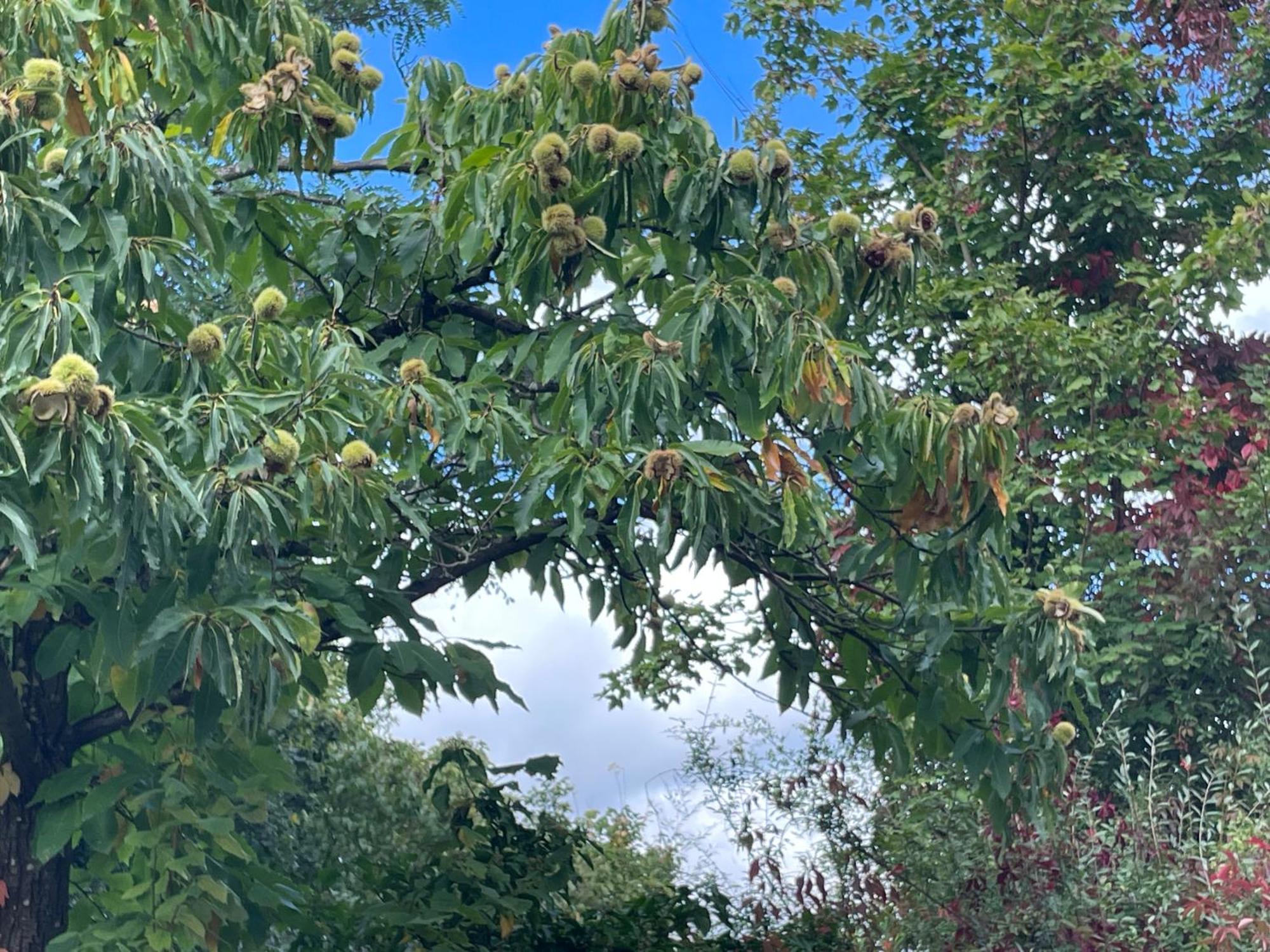 דירות Dannenfels "El Patio" Am Donnersberg מראה חיצוני תמונה