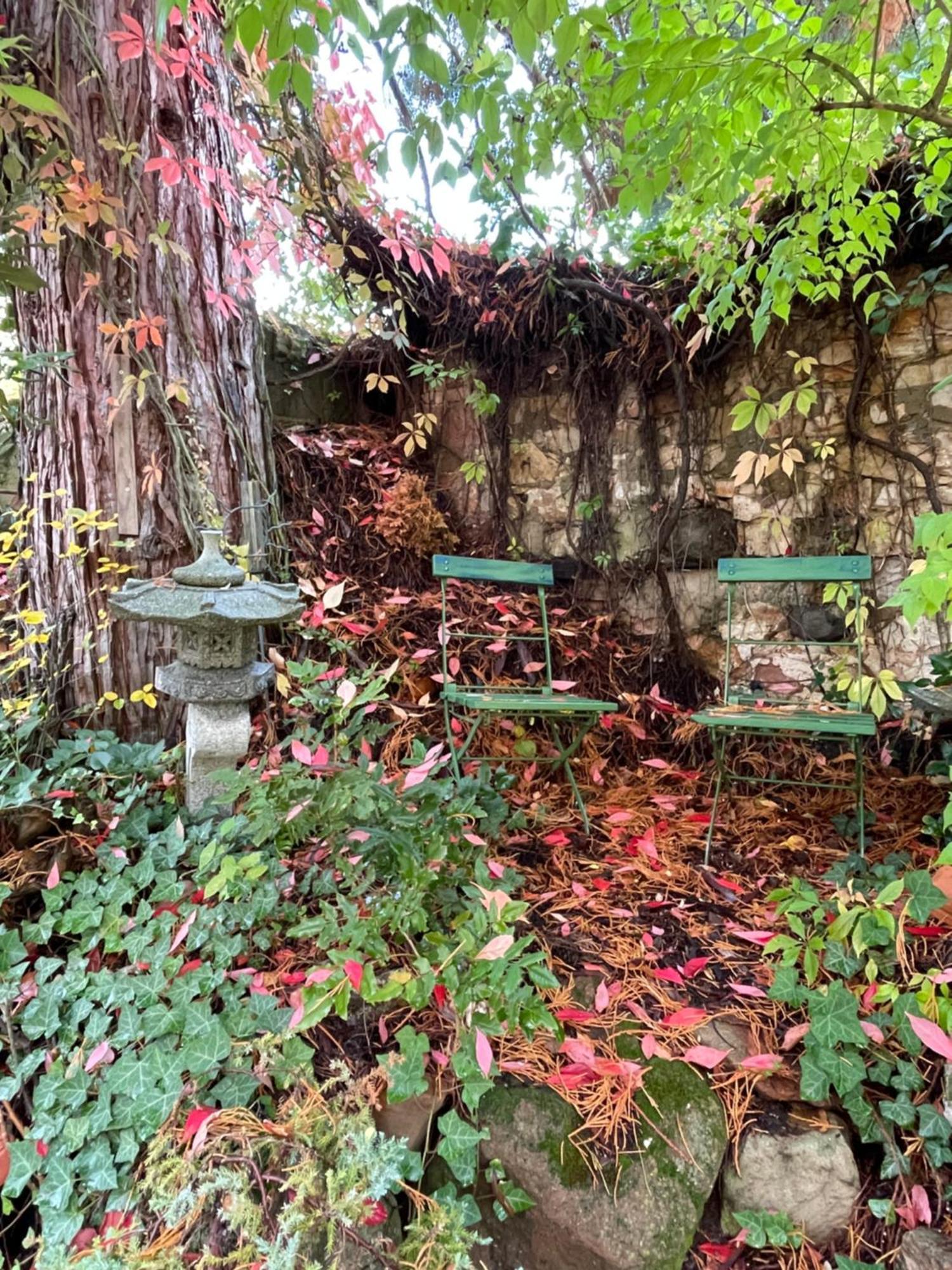 דירות Dannenfels "El Patio" Am Donnersberg מראה חיצוני תמונה